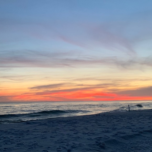 Meet your Posher, Dylan - Picture 1 of 1